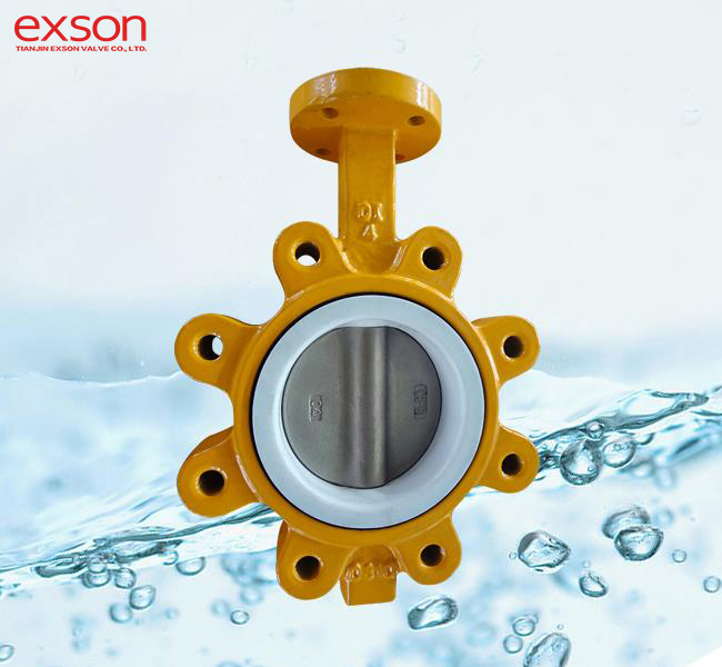 Din Butterfly Valve